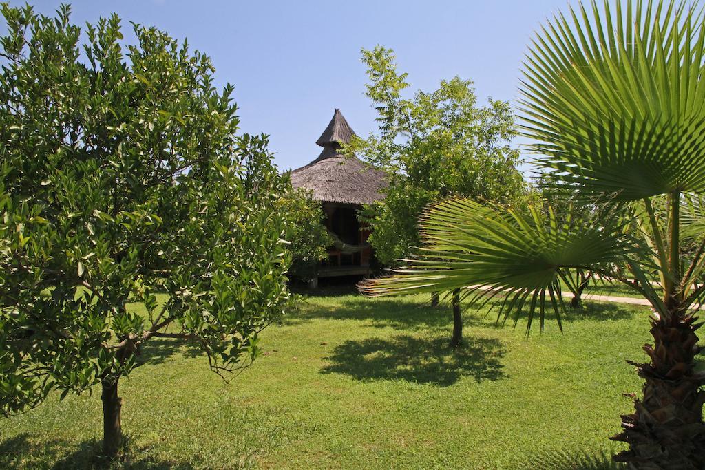 Hotel Arcadia *